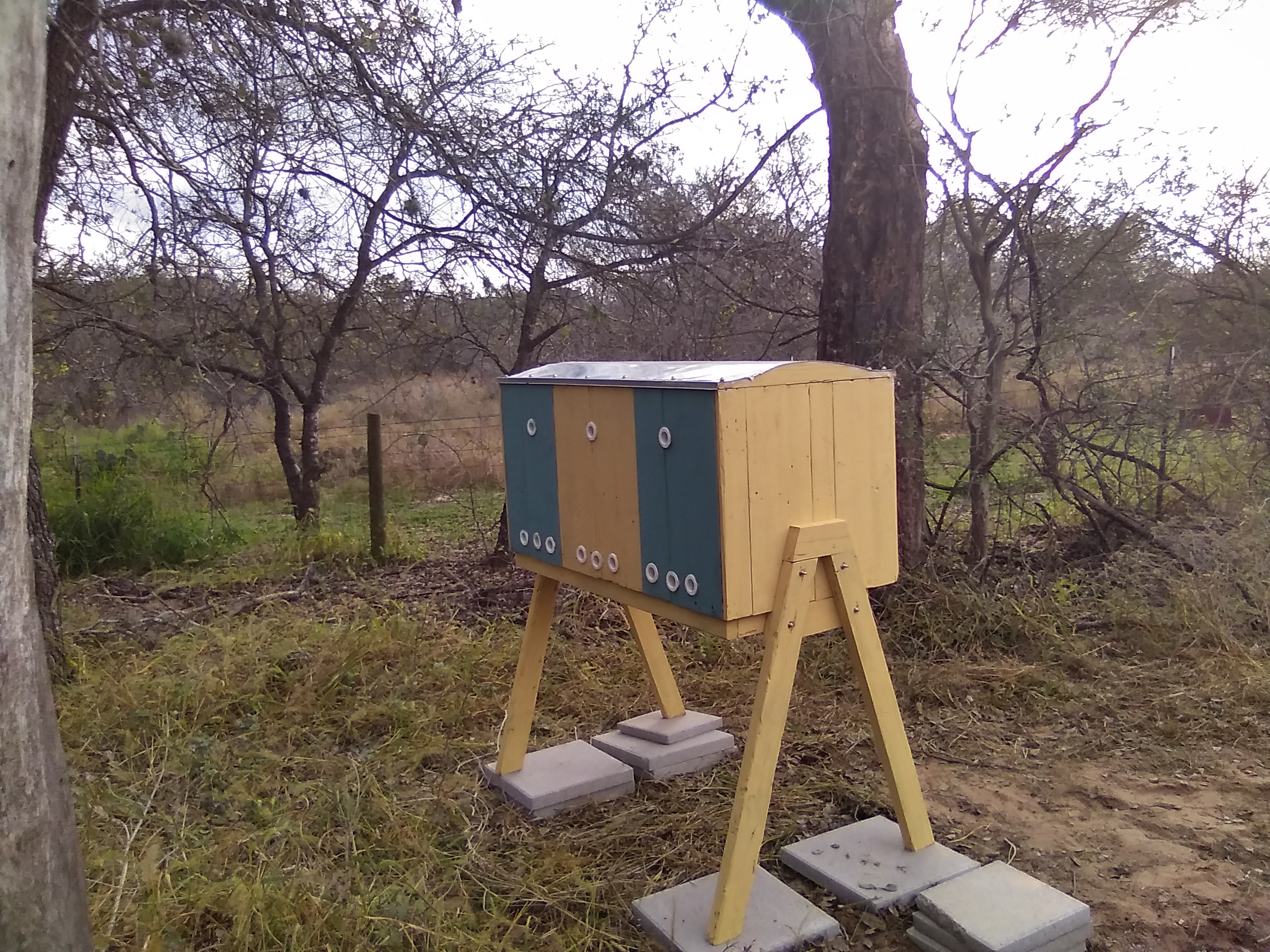 TriPlex of AZ hives on bee lease